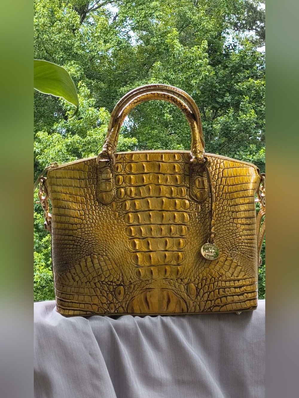 Rare Brahmin Gold Croc-Embossed Satchel